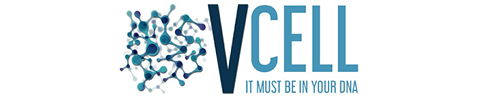 מוטי ויזל - VCELL